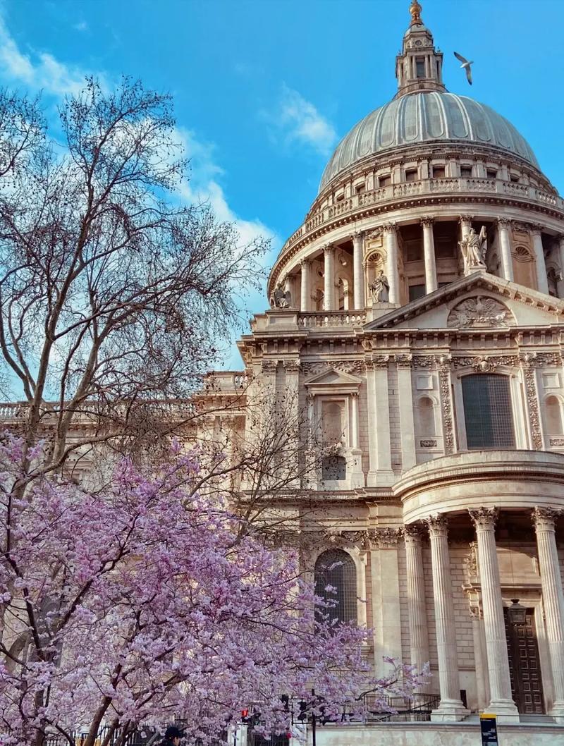 伦敦大学玛丽皇后学院